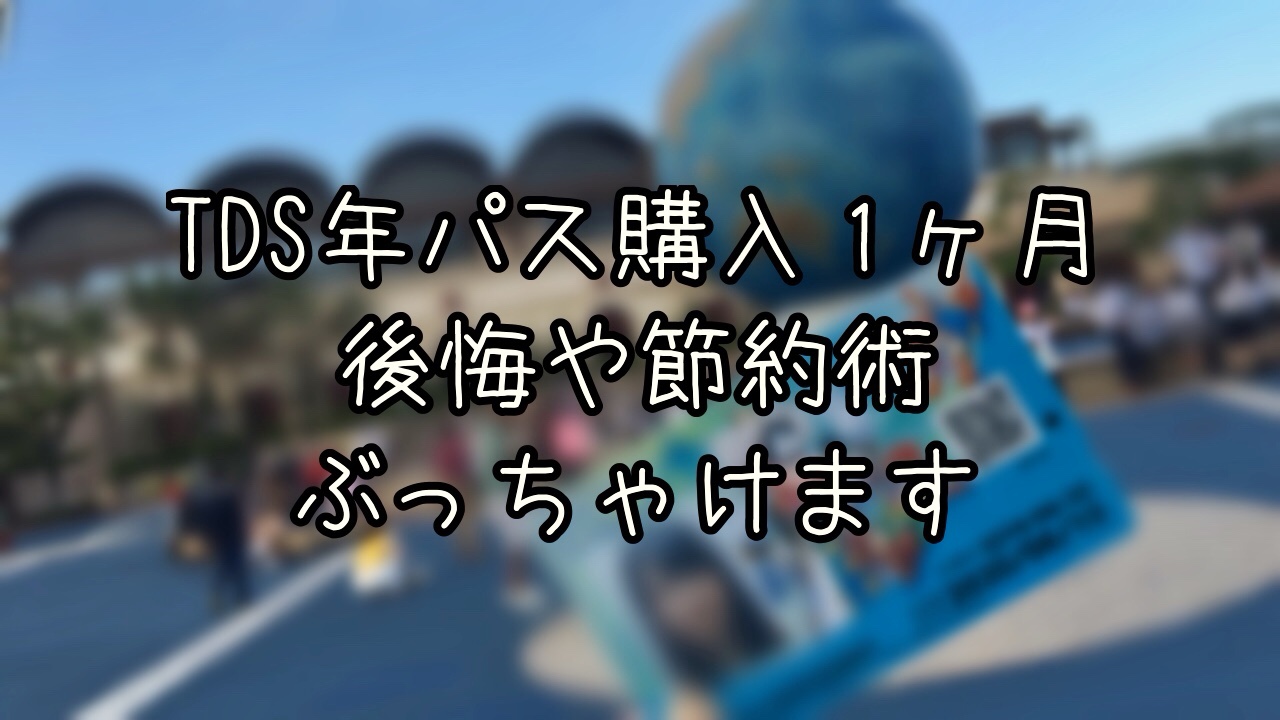 TDS年パスを持って1ヶ月経った正直な感想