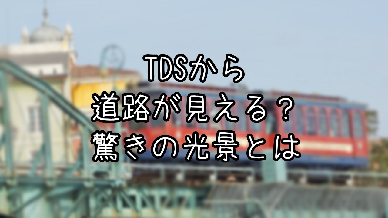 TDSから見える道路とは