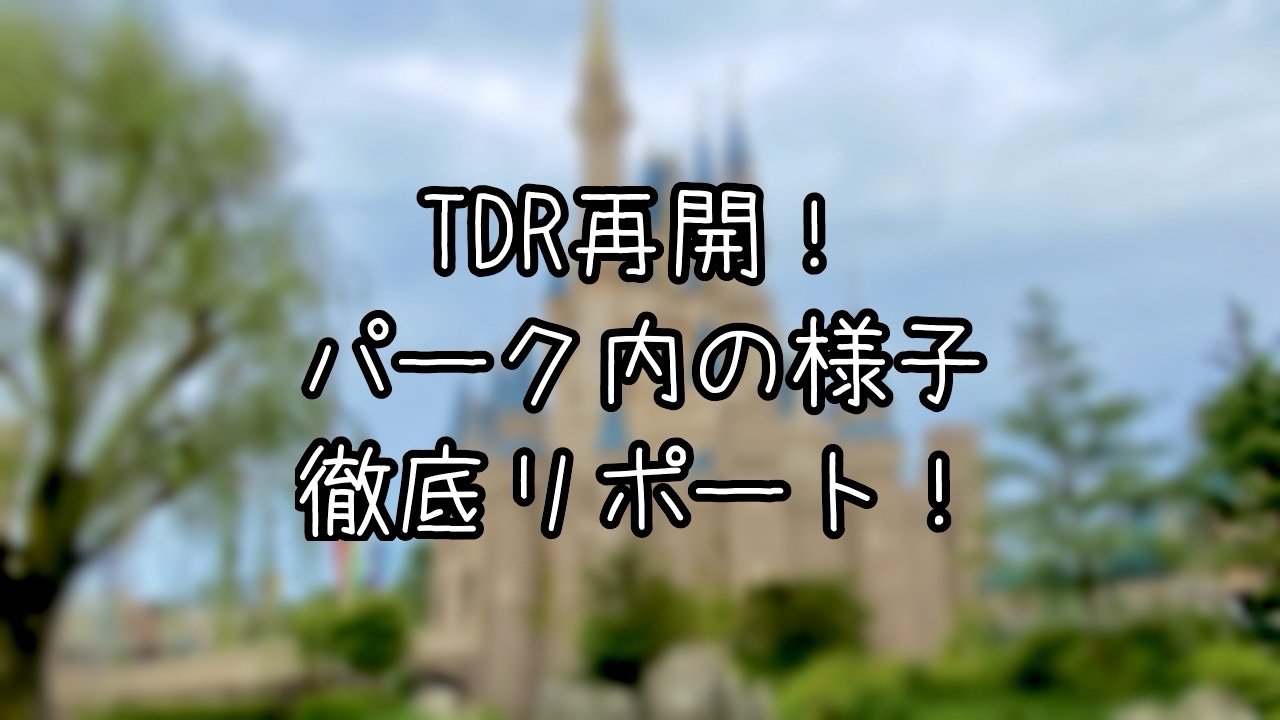 再開直後のTDLの様子をレポート