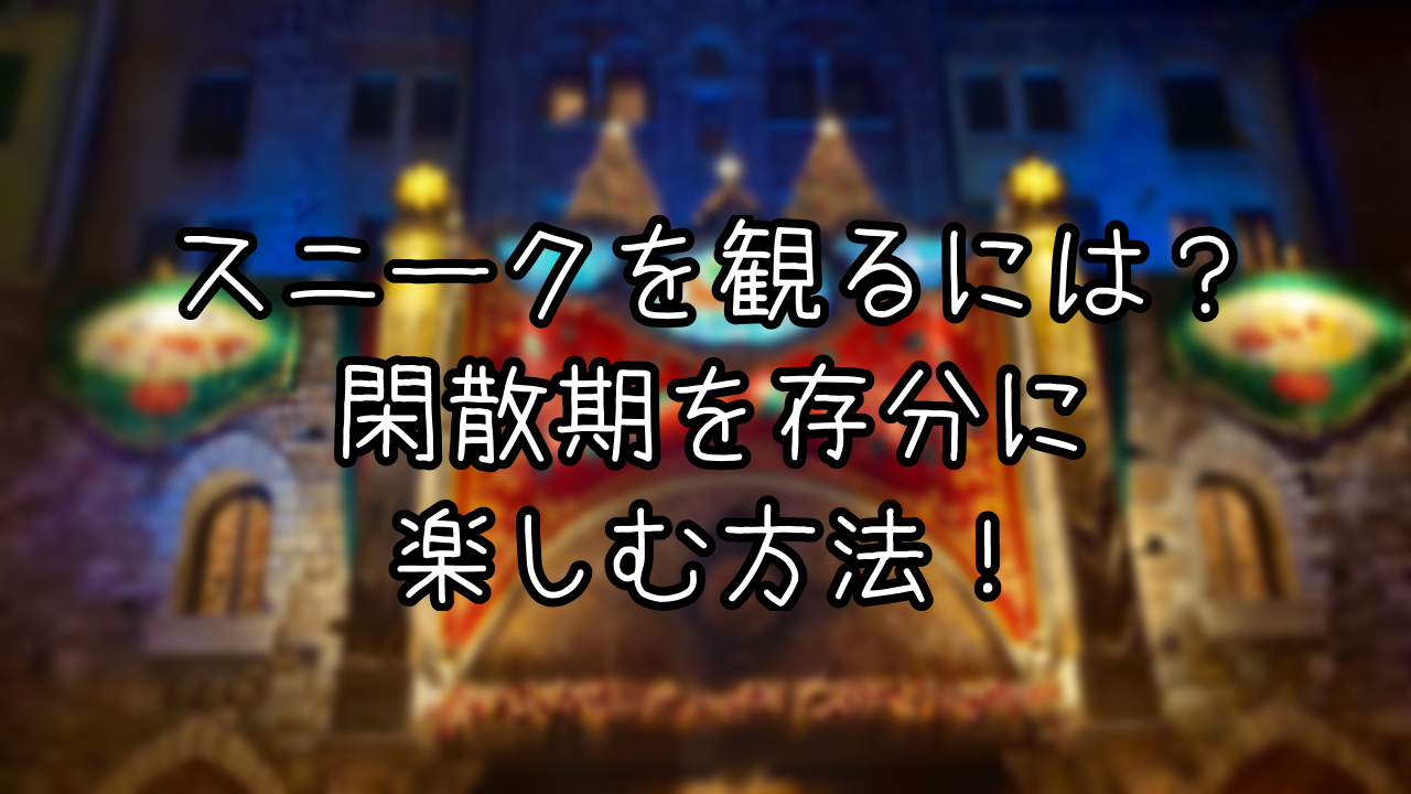 クリスマススニーク実施のTDSインパ日記