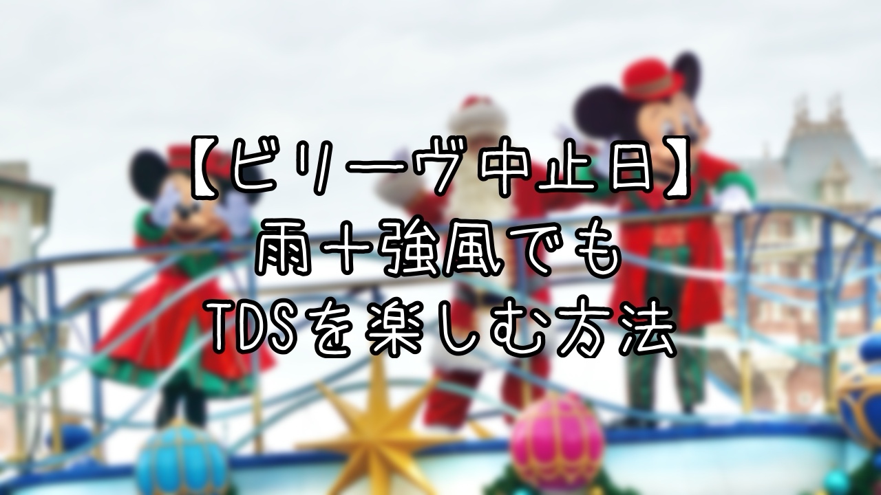雨＋風でも全力で楽しむTDSインパ日記