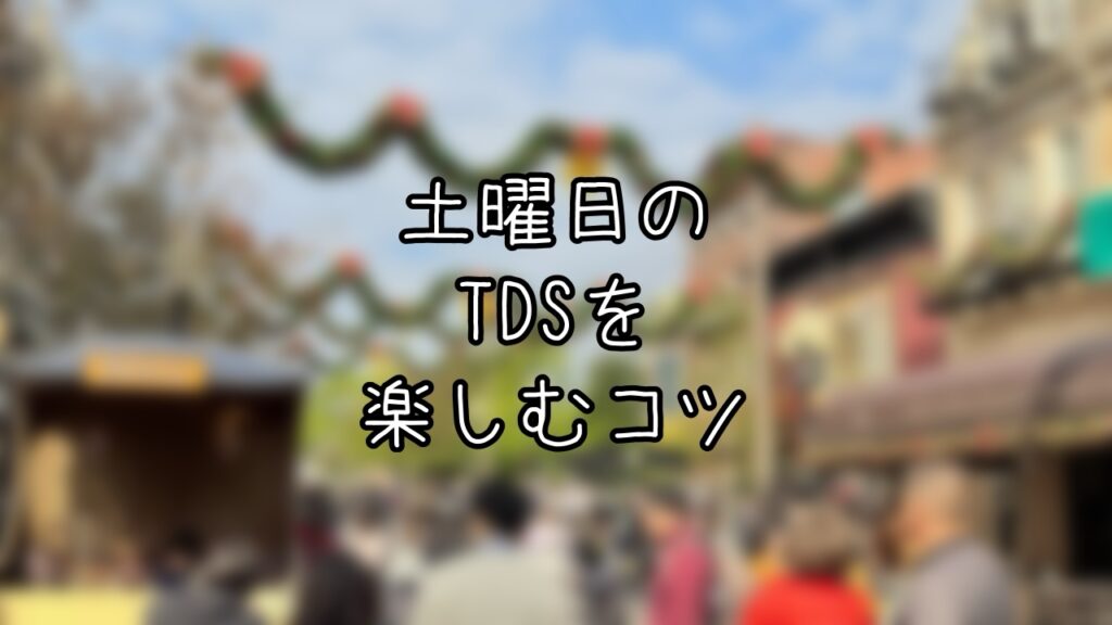 土曜日でも存分に楽しむ冬のTDSインパ日記