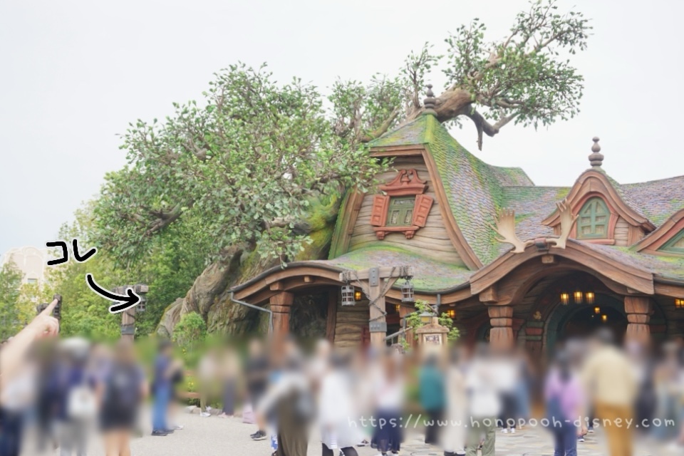 スナグリーダックリング横の大きな木