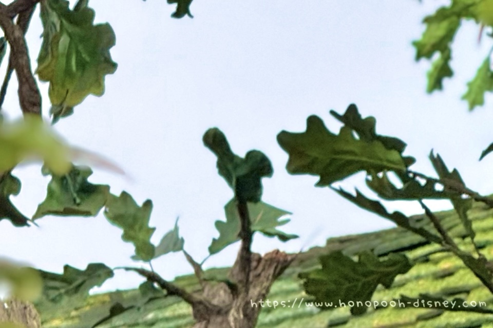 スナグリーダックリング横の大きな木の隠れミッキー