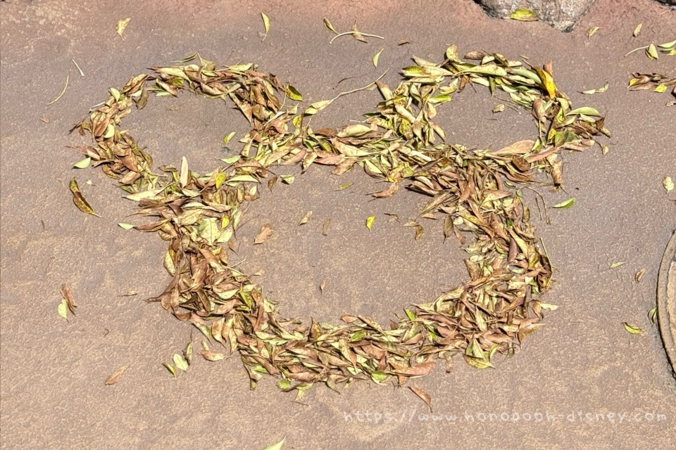 落ち葉で作られた隠れミッキー