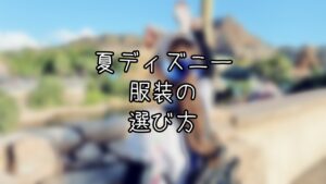 夏ディズニーの服装の決め方